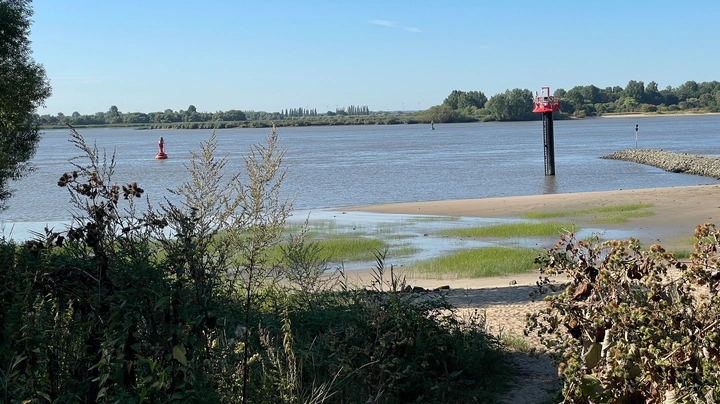 Galerie-Bild 3: Elbstrand am Falkensteiner Ufer