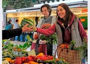 Symbolbild_Nienstedten