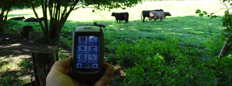 Eine Person hält ein GPS-Gerät in der Hand, während im Hintergrund eine grüne Weidelandschaft mit grasenden Rindern unter Bäumen zu sehen ist.