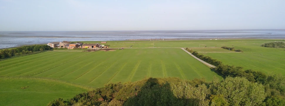 Blick vom Leuchtturm auf die grünen Wiesen von Neuwerk