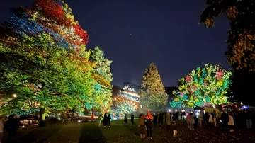 Lichtfestival Planten un Lumen - hamburg-magazin.de