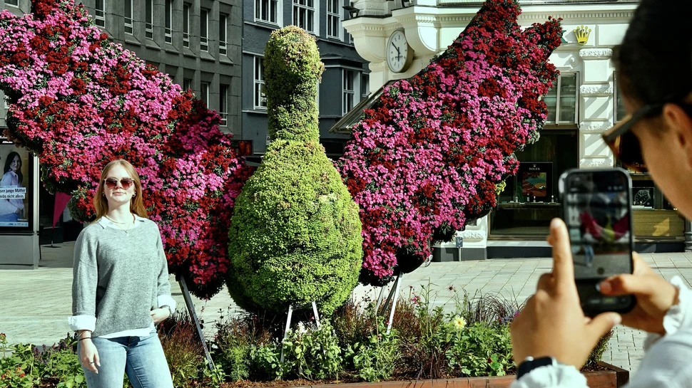 Hamburgs Sommergärten Blumeninstallation am Gänsemarkt