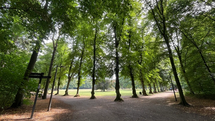 Galerie-Bild 1: Große Spielwiese im Volkspark