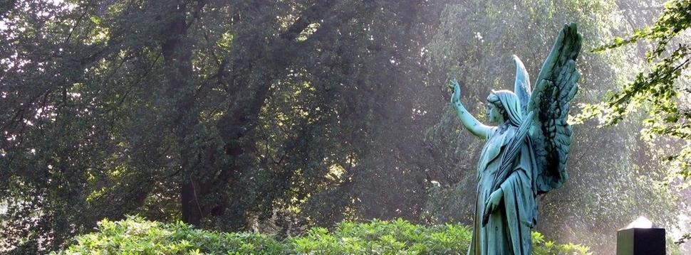 Zuh-rZeit-auf-dem-Parkfriedhof-Ohlsdorf