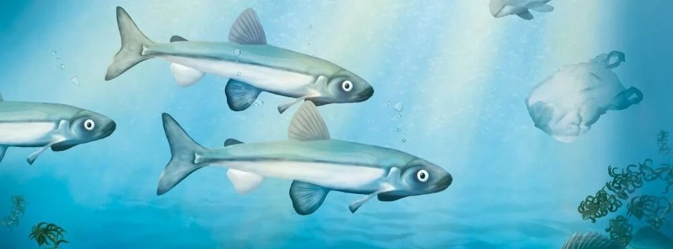 Plakat mit Unterwasserszene, Fischen und Müll zum "Langen Tag der Stadtnatur Hamburg 2026" mit dem Slogan "Alles fließt".
