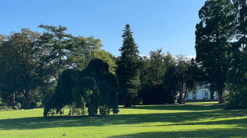 Park mit altem Baumbestand