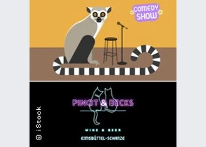 Stand-Up Comedy Show im Pinot & Becks