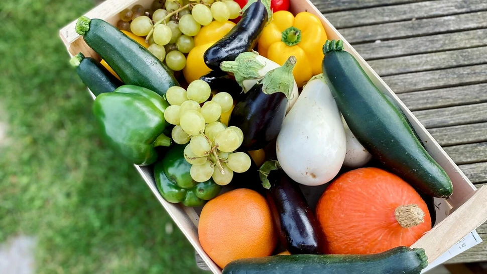 Korb mit regionalem Gemüse