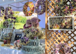 Herbstmarkt auf Gut Basthorst