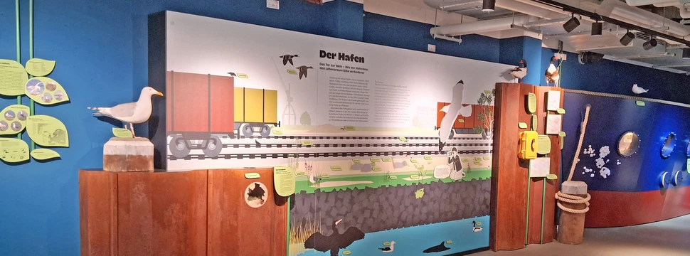 Austellungsstücke im NaturRaum Hafen