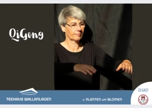 HTT QiGong