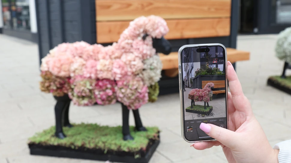 Beliebtes Motiv: das Blumenschaf der Hamburger Sommergärten 2025 Ein Schaf aus Blumen wird mit einem Smartphone fotografiert
