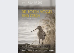 poster-die-toten-voegel-sind-oben-2023-04-din-a13mm-min