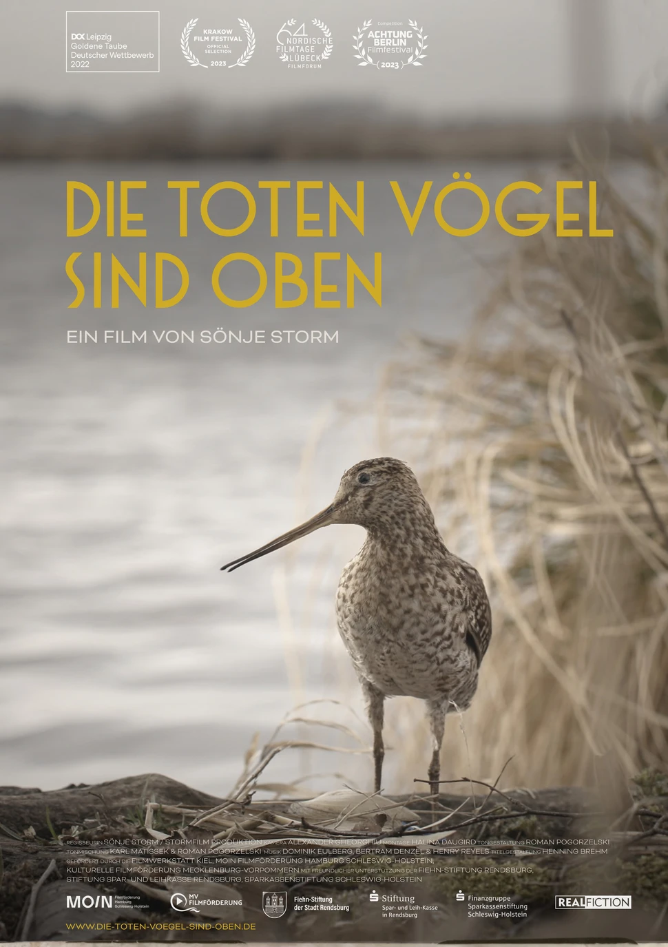 poster-die-toten-voegel-sind-oben-2023-04-din-a13mm-min