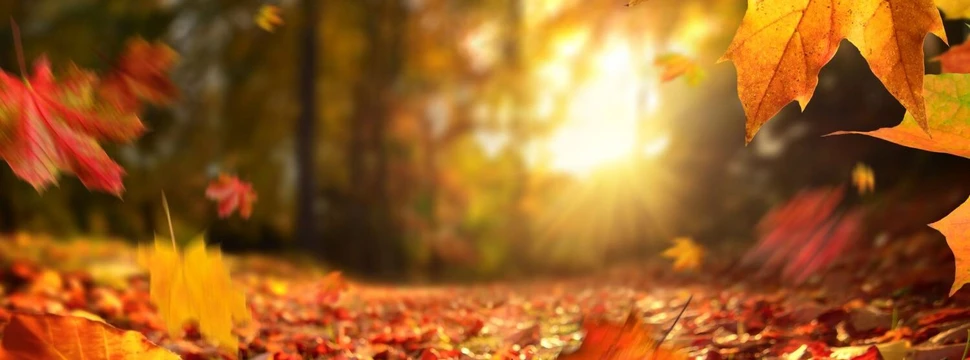 Herbstwetter, © iStock / Smileus