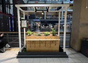 Kräuterstation mit Riechproben zum Erkennen