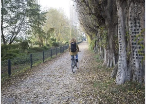 Geocaching per Rad für Anfänger