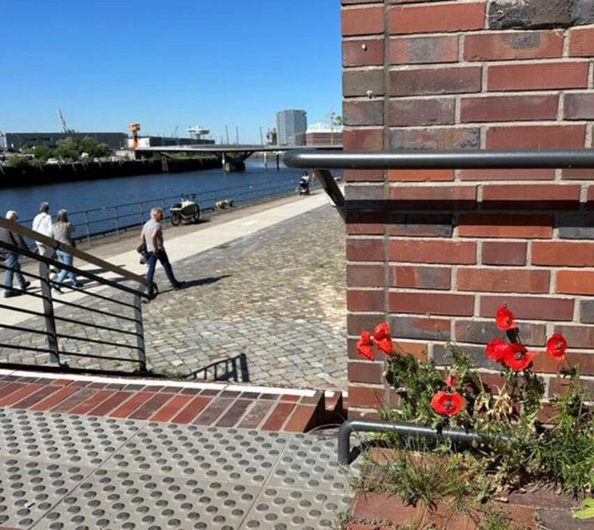 Blumen in der HafenCity Blumen in der HafenCity
