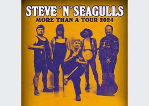 Steve 'n' Seagulls - More than a Tour 2024