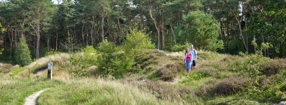 Gudendorfer Forst Wanderung, © Dithmarschen Tourismus e.V. Photocompany
