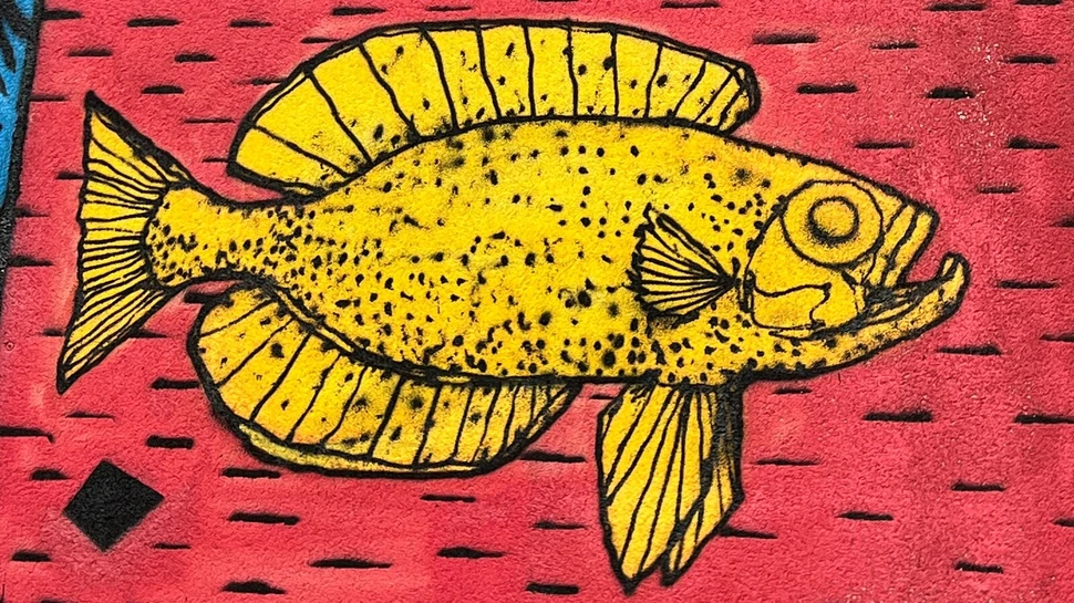 Ein gelber Fisch an die Wand gemalt