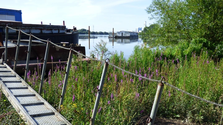 Galerie-Bild 5: Holzhafen in Billbrook