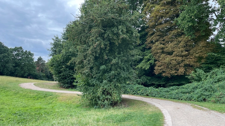 Galerie-Bild 4: Böverstpark