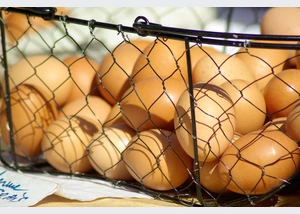 wochenmarkt_20cpixabay_4