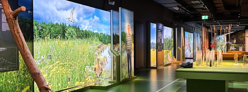 Blick in der Ausstellung in der Botschaft der Wildtiere