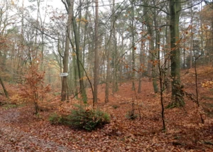 Harburger Berge, © hamburg-magazin.de