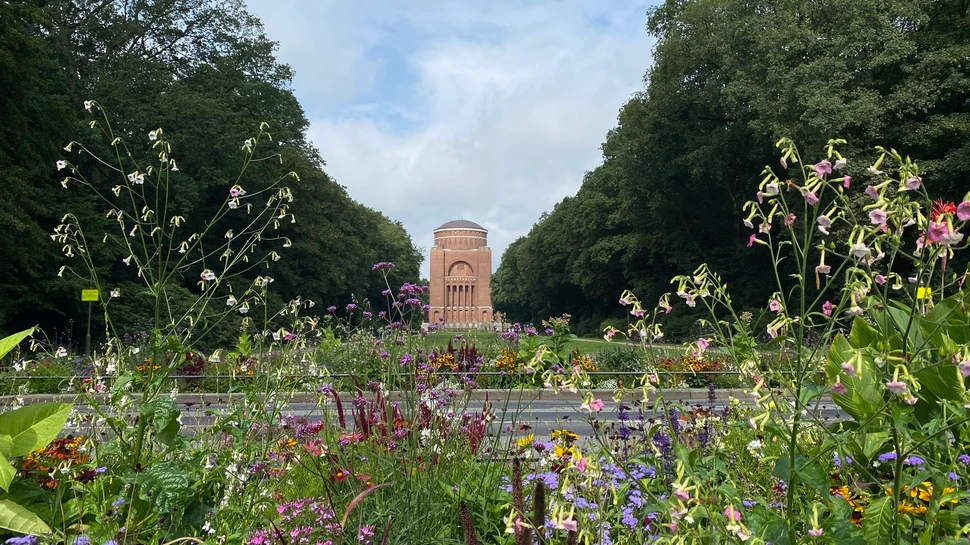 Blick durch eine Blumenwiese auf das Planetarium im Hamburger Stadtpark