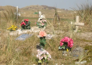 Tierfriedhof, © Astrid Borower / pixelio.de