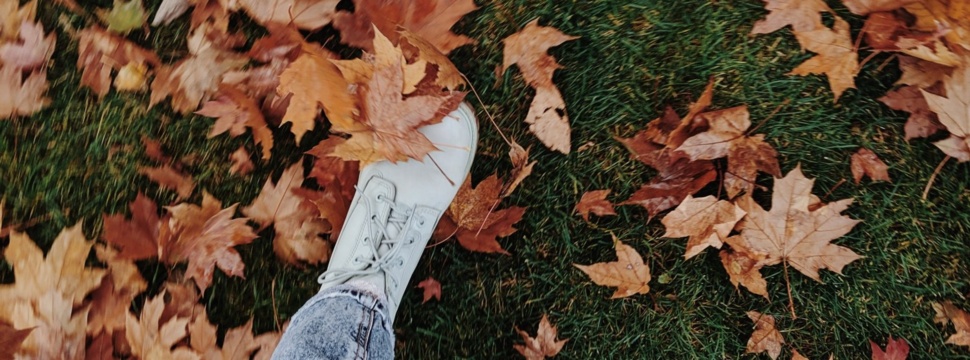 Herbst, © Pexels/Valeriia Miller